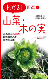 わかる 図鑑４ 山菜 木の実 山と溪谷社