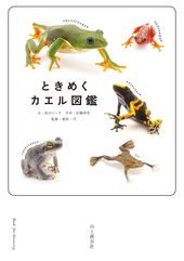 ときめくカエル図鑑