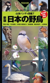 山溪ハンディ図鑑 7 新版 日本の野鳥