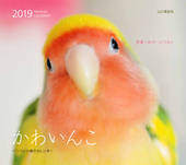 カレンダー2019 かわいんこ　インコと小鳥のカレンダー