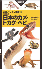 山溪ハンディ図鑑 改訂版 日本の海水魚 | 山と溪谷社