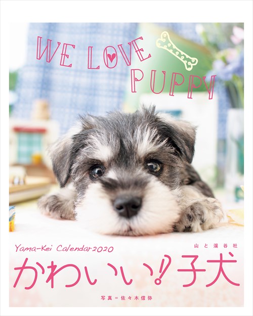 カレンダー かわいい 子犬 カレンダー21 山と溪谷社
