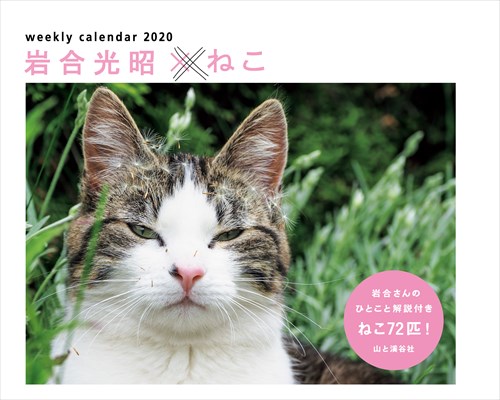 カレンダー 岩合光昭 ねこ カレンダー21 山と溪谷社