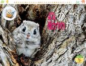 カレンダー2022　太田達也セレクション 森の動物たち Tiny Story in the Forests