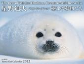 カレンダー2022　星野道夫カレンダー「極北の動物たち」ベストセレクション