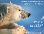 カレンダー2023 星野道夫カレンダー「極北の動物たち」ベストセレクション
