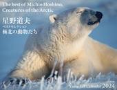 カレンダー2024 星野道夫カレンダー「極北の動物たち」ベストセレクション