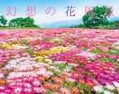 カレンダー2024 幻想の花風景