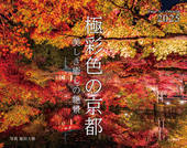 カレンダー2025 極彩色の京都 美しき癒しの絶景