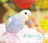 カレンダー2025 かわいんこ インコと小鳥のカレンダー