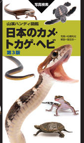 山溪ハンディ図鑑 日本のカメ・トカゲ・ヘビ 第3版