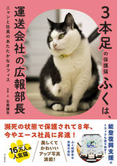 3本足の保護猫ふくは、運送会社の広報部長 ニャンと社員のあたたかなオフィス