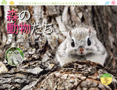 カレンダー2026 太田達也セレクション 森の動物たち Tiny Story in the Forests
