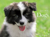 カレンダー2026 Dogs