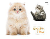 カレンダー2026 ほのぼの子ねこ