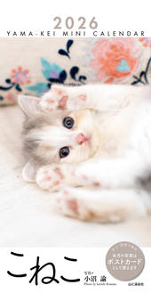 カレンダー2026 ミニカレンダー こねこ