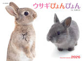 カレンダー2026 ウサギぴょんぴょん