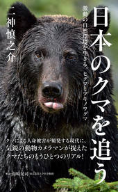 ヤマケイ新書 日本のクマを追う 激動の自然環境を生きる、ヒグマとツキノワグマ