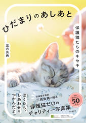 ひだまりのあしあと 保護猫たちのキセキ