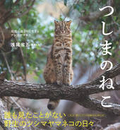 つしまのねこ 対馬の森と川に生きるツシマヤマネコ