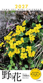 カレンダー2027 ミニカレンダー 野の花