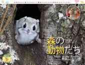 カレンダー2027 太田達也セレクション 森の動物たち Tiny Story in the Forests