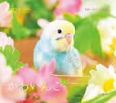 カレンダー2027 かわいんこ インコと小鳥のカレンダー