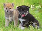 カレンダー2027 Dogs