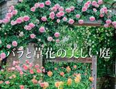カレンダー2027 バラと草花の美しい庭 ガーデナー・天野麻里絵 監修