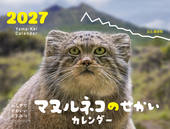 カレンダー2027 ふしぎでかわいいどうぶつカレンダー マヌルネコのせかい